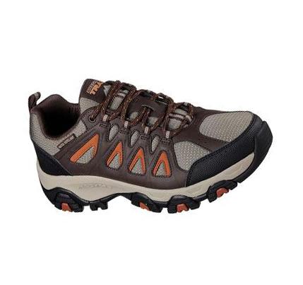Zapatillas Skechers Terrabite Hombre Marrones Naranjas | CL3750L