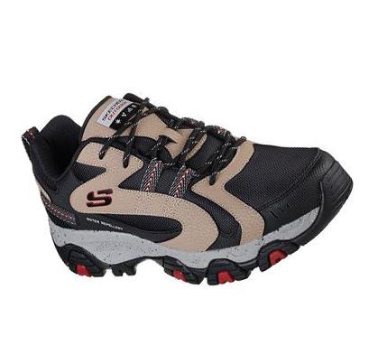 Zapatillas Skechers Terrabite - Trailborn Hombre Negras Marrones | CL3787D